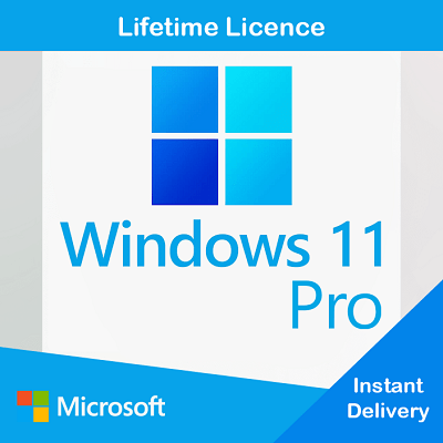 Microsoft Windows 11 Professional Clé Produit - Livraison